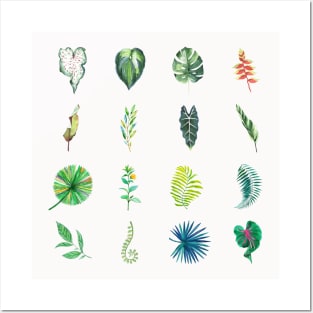 Tropical leaves Posters and Art